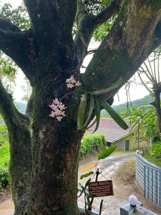 Darshan'S Home Stay Madikeri Exterior photo